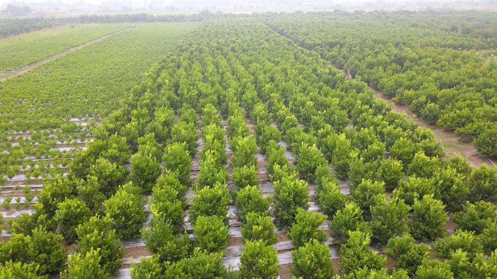 Giải pháp giảm ho, rát họng phù hợp hơn cho người lớn